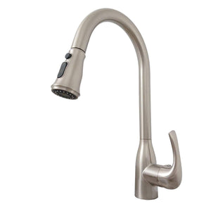 Dakota Signature Series 16″ Tall Dual Function Pullout handle with a Retro Style Faucet