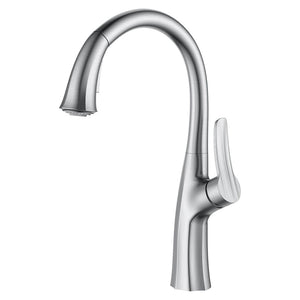 Dakota Signature Series 17″ Tall Dual Function Pull down handle with a Modern Style Faucet