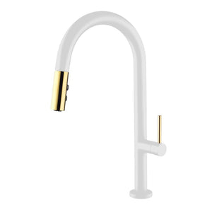 Dakota Signature Series 18″ Tall Dual Function Pull Down Kitchen Faucet