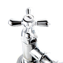 Load image into Gallery viewer, ZLINE Mona Kitchen High Arc Widespread Faucet with Spray