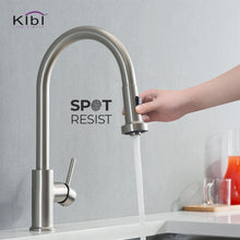 Load image into Gallery viewer, KIBI Casa Single Handle High Arc Pull Down Kitchen Faucet