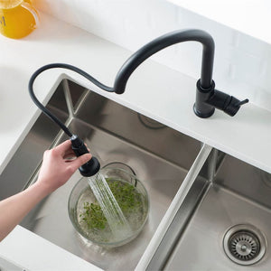 KIBI Casa Single Handle High Arc Pull Down Kitchen Faucet