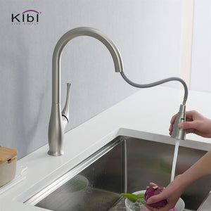 KIBI Cedar Single Handle High Arc Pull Down Kitchen Faucet