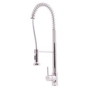 Dual Action Commercial Kitchen Faucet