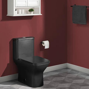 Carre One-Piece Square Toilet Dual-Flush 1.1/1.6 GPF by Swiss Madison