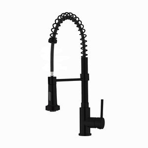 Nouvet Single Handle, Pull-Down Dual Function Spray Kitchen Faucet