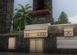 ZLINE Designer Series Wall Mount Range Hood