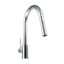 Load image into Gallery viewer, ZLINE Gemini Kitchen Faucet